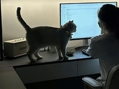 3 kiểu nhắn tin công việc tố cáo bạn là người có EQ bằng 0