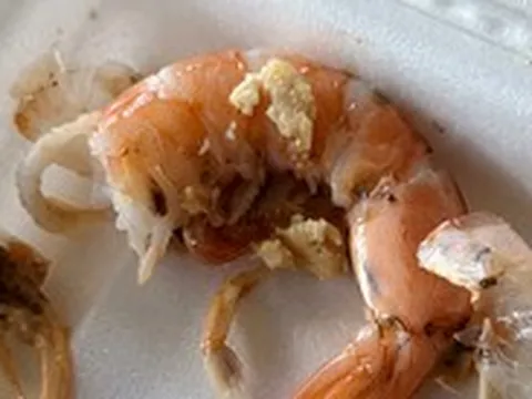 Trường mầm non bị phản ánh thức ăn có dòi, chính quyền kiểm tra