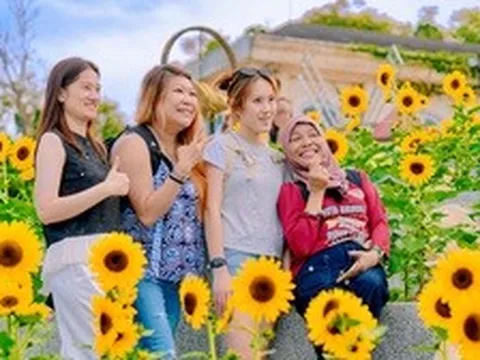 Du khách đổ về Bà Nà tránh nóng, săn ảnh giữa “biển hoa mặt trời”