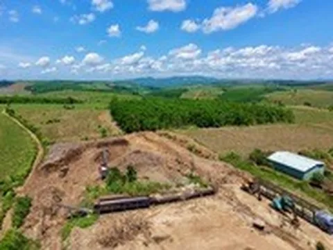 Nhiều trạm cân thu mua nông sản tự phát ở đông Đắk Lắk