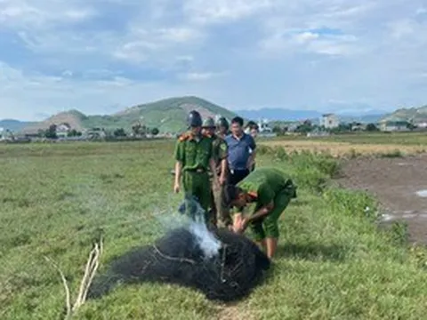 Lưới bẫy đánh bắt chim trời xuất hiện trên cánh đồng Quảng Trị