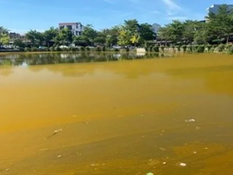 Hồ Trái Tim ở Huế xuất hiện màu nâu vàng bất thường
