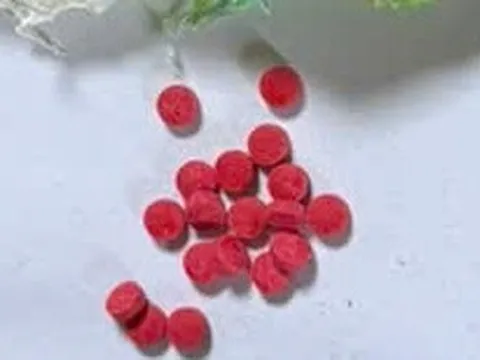 Triệt phá đường dây tàng trữ, tổ chức sử dụng trái phép chất ma túy, bắt giữ nhiều đối tượng