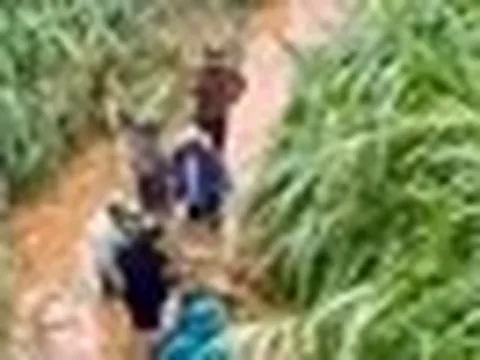 Hàng trăm người đang tìm kiếm nữ sinh lớp 6 bị nước cuốn trôi