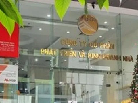 Không bàn giao đất nền đã bán cho người dân, 3 anh em đại gia Đinh Trường Chinh bị truy tố