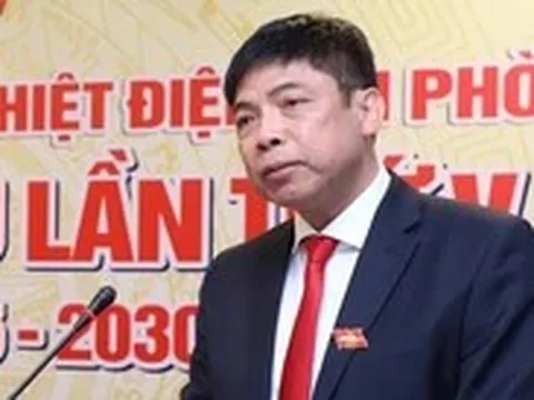 Thêm lãnh đạo doanh nghiệp điện bị khởi tố, bắt tạm giam