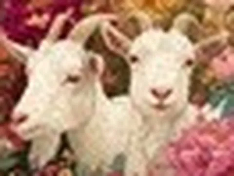 Tử vi ngày mới 25/5: 3 con giáp khởi đầu tuần mới hanh thông, quý nhân che chở, tiền bạc suôn sẻ