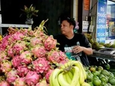 Nhiều loại trái cây 'rẻ như cho', nhà vườn lại 'khóc ròng'