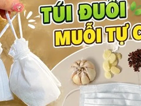 Các “mẹo chống muỗi” đang được nhiều gia đình áp dụng mùa hè này: Có cách chỉ tốn vài nghìn đồng nhưng hiệu quả bất ngờ