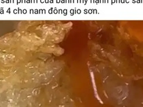 Vụ dòi lúc nhúc trong hộp xôi: Tạm đình chỉ cơ sở bánh mì Hạnh Phúc