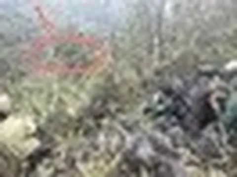 Loài động vật quý hiếm chỉ Việt Nam có, giới khoa học tìm cách "cứu": Cả thế giới còn khoảng 250 cá thể