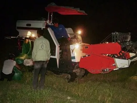 Cảnh nông dân thắp đèn xuyên đêm gặt lúa để trốn nắng 'cháy da'
