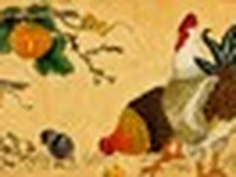 Tử vi ngày mới 27/5: 3 con giáp vận đỏ như son, công việc thuận lợi, dễ đón may mắn bất ngờ