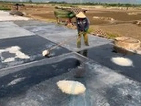 Nhọc nhằn nghề làm muối giữa trời nắng như đổ lửa