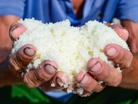 Diêm dân "rang mình" dưới nắng 40 độ, đổi lấy hơn 200 nghìn đồng mỗi ngày