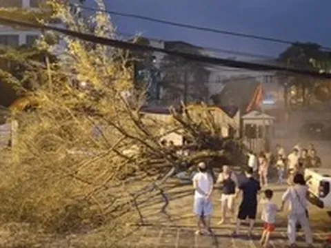 Hà Nội: Sau nắng nóng kỷ lục, mưa to gió lớn giật tung cây xanh, ôtô bị đè bẹp giữa phố