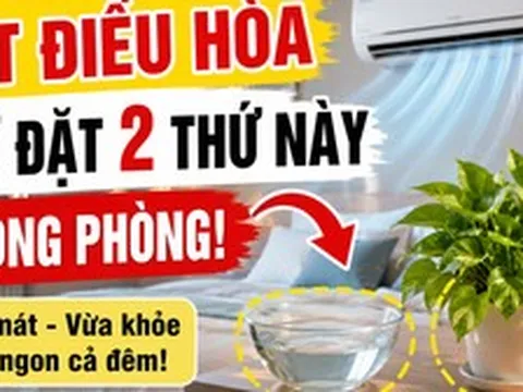 Trước khi bật điều hòa, người khéo thường đặt thêm 2 thứ này trong phòng: Vừa dễ ngủ vừa đỡ khô da
