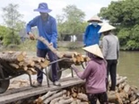 Lênh đênh chợ củi Ngã Bảy