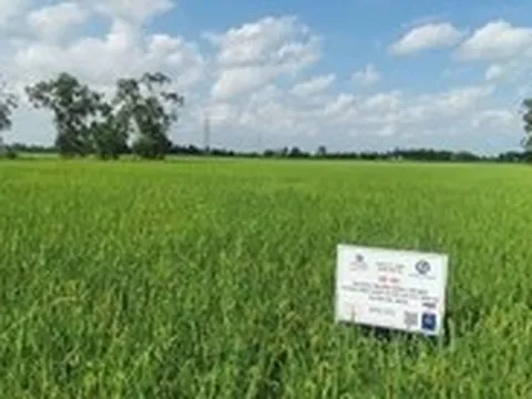 Thúc đẩy chuyển đổi xanh trong nông nghiệp
