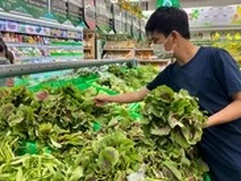 Vì sao ăn nhiều rau vẫn bị táo bón?