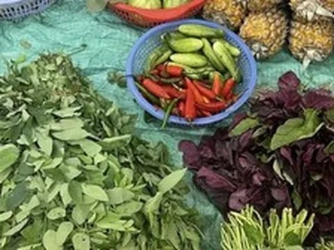 Con vừa nghỉ hè mẹ chồng tôi đã bày ra cái trò không thể chấp nhận nổi