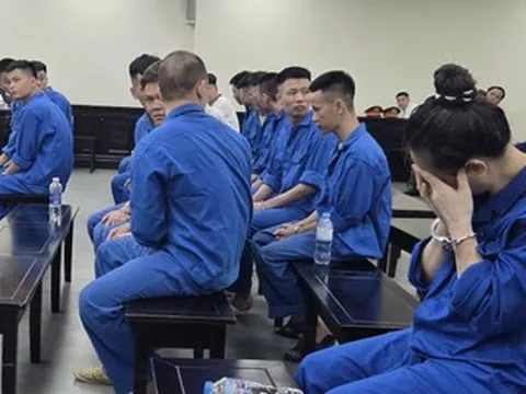 Nhóm người giả danh Huấn Hoa Hồng để lừa tiền nhận kết đắng