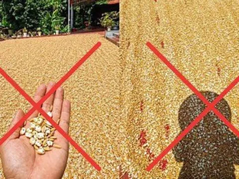 Người đàn ông bị phạt vì đăng ảnh thóc 'nổ bỏng' dưới nắng nóng