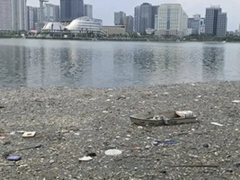 Hơn 10 tấn cá chết bốc mùi nồng nặc trên hồ điều hòa