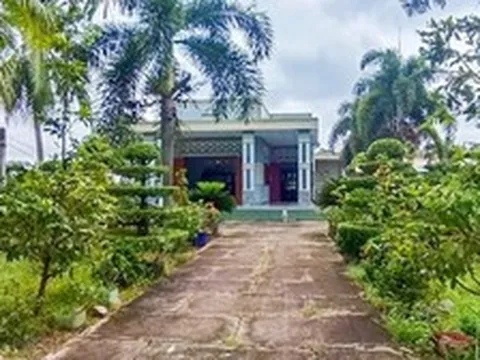 Được bố mẹ cho hết đất tổ tiên nhưng tôi chỉ dám ngồi im vì điều kiện đính kèm vô cùng khó
