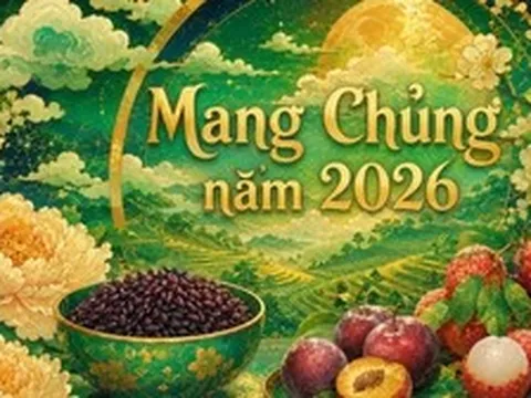 Mang Chủng là gì?