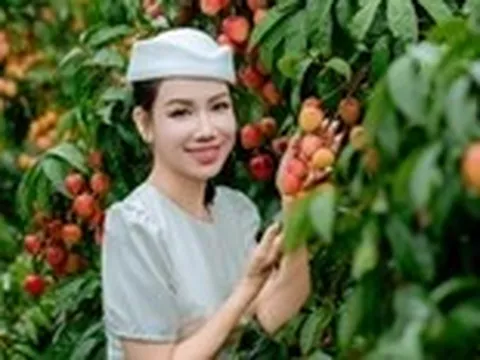 Giá vải thiều tăng mạnh chưa từng có