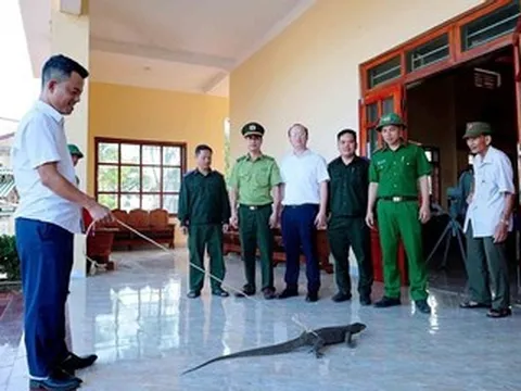 Hành động của người đàn ông khi phát hiện kỳ đà 5kg trong vườn
