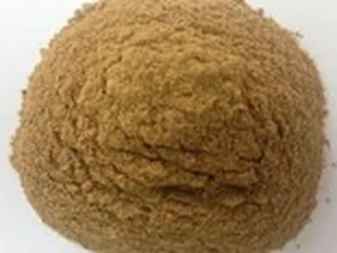 Việt Nam lý giải quy định kiểm tra tạp nhiễm ADN bột xương động vật nhập khẩu