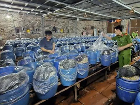Ba chủ cơ sở 'tuồn' gần 1.000 tấn giá đỗ ngâm 'nước kẹo' ra thị trường