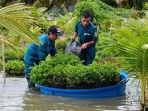 Sa Đéc mời chuyên gia tìm giải pháp chống ngập đô thị do mưa và triều cường