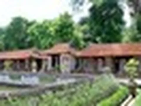 Di tích nổi tiếng ở Hà Nội tổ chức hoạt động đúng mùa thi: Mở cửa cho toàn dân, liên quan tới 1 loại quả