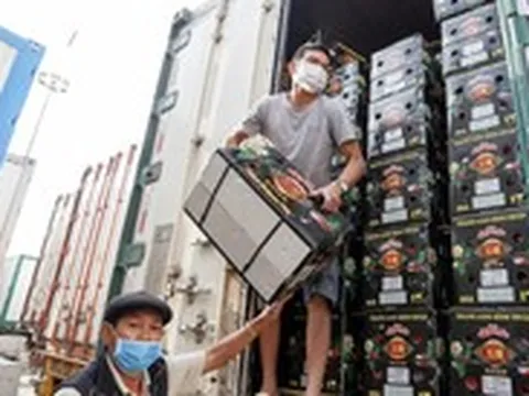 Gian lận thương mại thời AI: Cảnh báo cho doanh nghiệp xuất khẩu