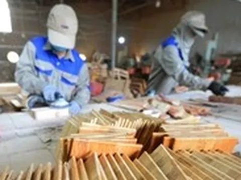Bộ Nông nghiệp và Môi trường nói gì về phản ánh hồ sơ chứng minh nguồn gốc gỗ chồng chéo