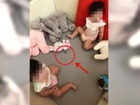 Tá hỏa khi thấy con trai 9 tháng tuổi cho gián vào miệng nhai, mẹ chỉ kịp lấy ra một chiếc chân gián