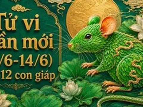 Lời khuyên cho 12 con giáp trong tuần mới (8/6-14/6)