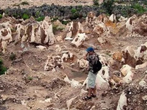 Quốc gia từng giàu bậc nhất thế giới nhờ phân chim