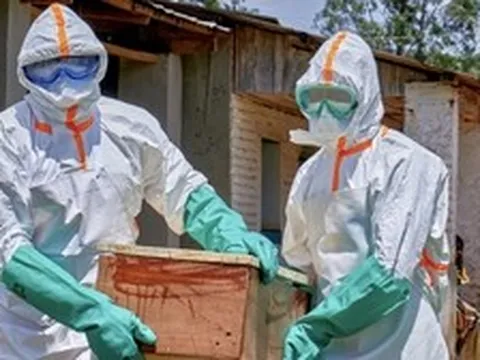 Nguy cơ tái diễn thảm kịch Ebola 2014: WHO cảnh báo số ca mắc tăng vọt