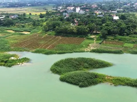 'Không phải đứa trẻ nào chết đuối cũng vì không biết bơi'