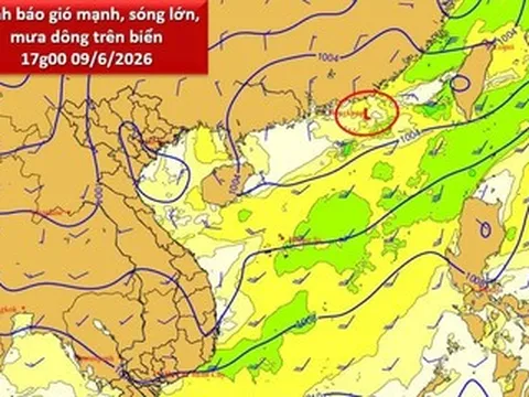 Tin mới nhất về vùng áp thấp hoạt động trên Biển Đông