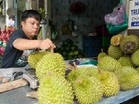Giải quyết điểm nghẽn mã vùng trồng cho nông sản Việt