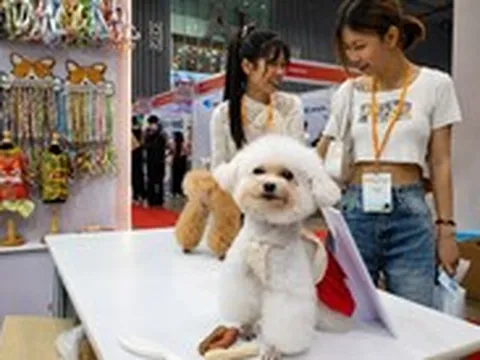 Boss mèo giờ có cả phòng vệ sinh gắn camera AI
