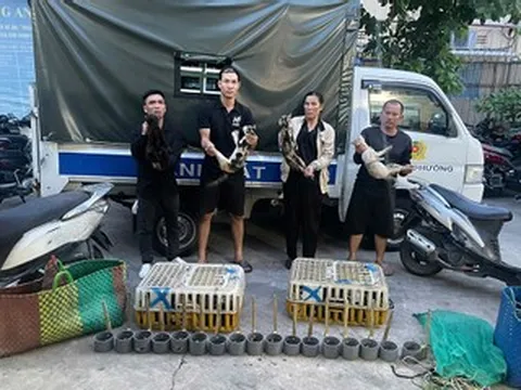 Công an 'giải cứu' 500 con mèo trong đường dây trộm thú cưng quy mô lớn