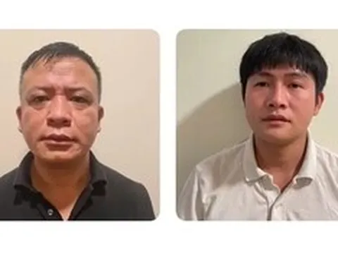 Truy tố 17 bị can trong đường dây buôn lậu hơn 425 tấn cau khô, trị giá 44 tỷ đồng