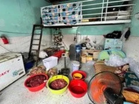 TP.HCM siết truy xuất nguồn gốc thịt heo, gia cầm từ trang trại đến bàn ăn