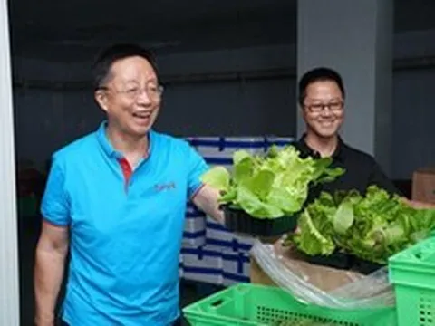 Phát hiện người đàn ông kiếm hơn 31.000 tỷ đồng/năm nhờ kinh doanh rau củ